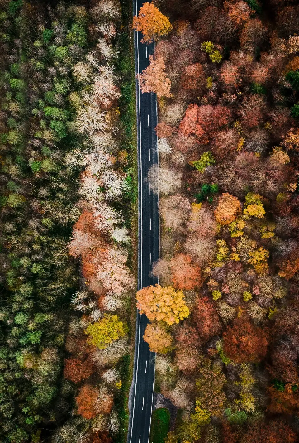 Embracing Seasons of letting go 
