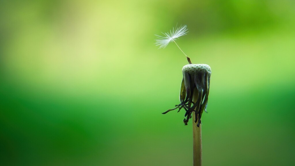 Hope renewed 